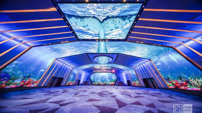 太阳GG·(中国区)官方网站