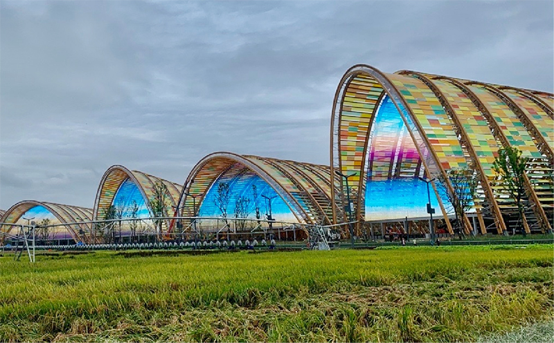 太阳GG·(中国区)官方网站